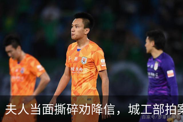 夫人当面撕碎劝降信，城工部拍案叫绝：这一撕，救了十万人